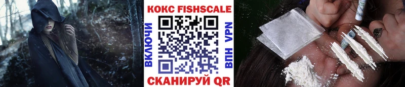 COCAIN Fish Scale хочу Белово