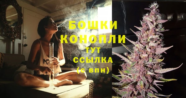 спайс Баксан