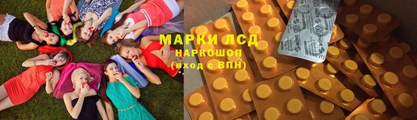 спайс Баксан