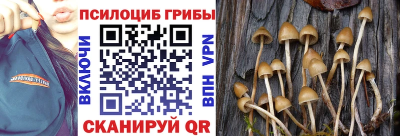 Галлюциногенные грибы MAGIC MUSHROOMS  купить наркотики цена  Белово 