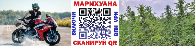 Конопля Amnesia  Белово 